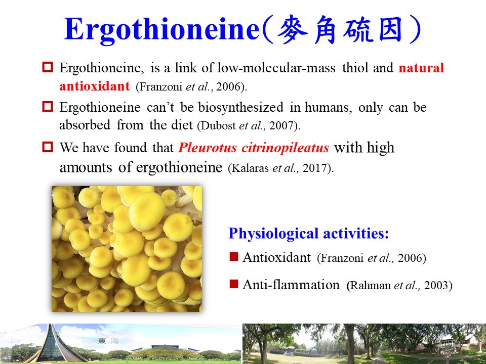 <p>金頂側耳麥角硫因</p>