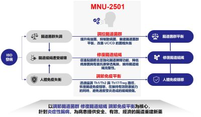 動物實驗驗證MNU-2501具備調節腸道菌群、修復腸道組織、調節免疫平衡的作用機制