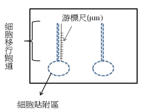 圖一